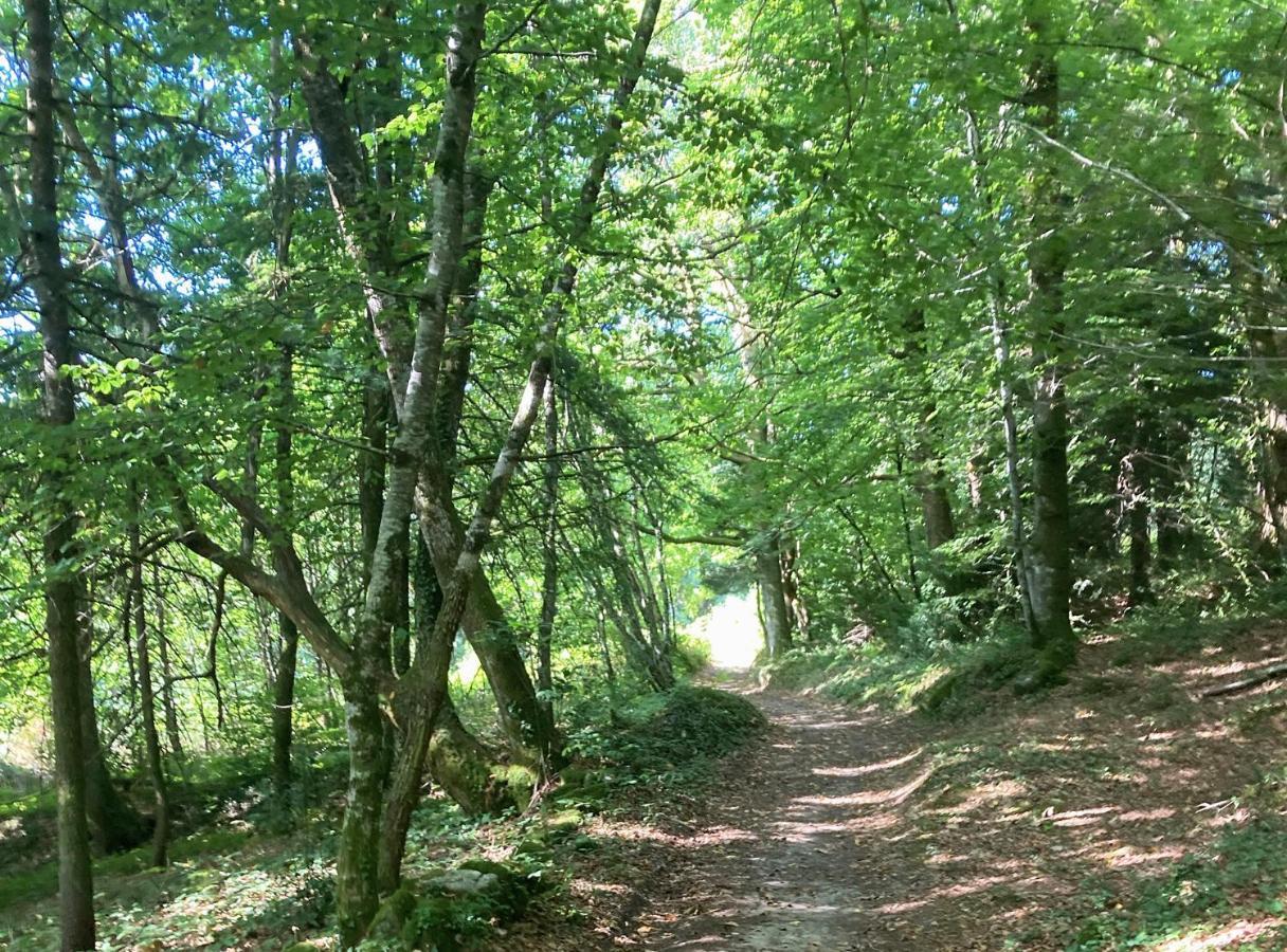 Thouron Aux Demeures Des Fees 빌라 외부 사진